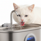 Pet Drinking